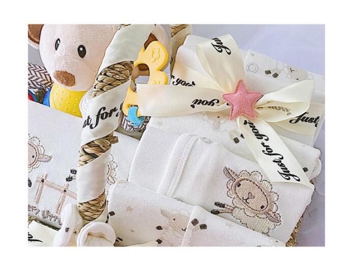 Autumn and Winter Newborn Boy Baby Clothes Set Gift Box: Complete Essentials for Your Little One